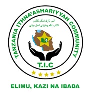 TIC Logo